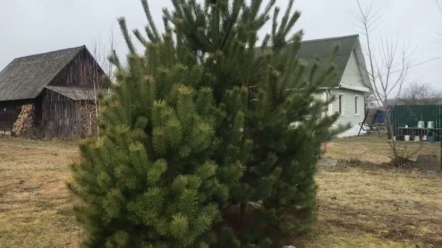 Деревенский блог/и не много праздника;) смотреть онлайн