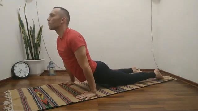 Йога Дома | Динамика Для Лотосов | Йога Timelapse | Личная Утренняя Йога смотреть онлайн