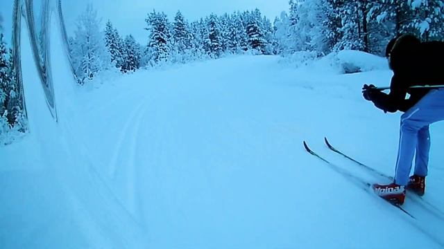 Лыжная тренировка от первого лица(классика)!Ski race смотреть онлайн