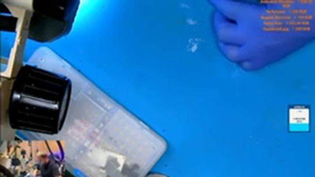 Ремонт телефонов 16.10. смотреть онлайн