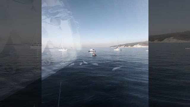 Морская Рыбалка. Рыбалка в Геленджике. Аренда Катера. Аренда яхты смотреть онлайн