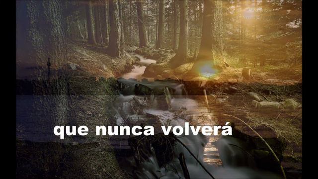 AMARGURA ( vals ) OSVALDO ESTRELLA -voz y guitarra. смотреть онлайн