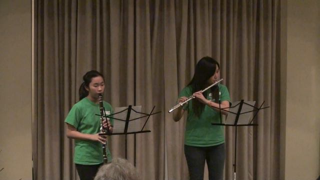 Music Performance at Carlton Senior Living Community 1/29/2011 (by BAYMS) 00001 смотреть онлайн