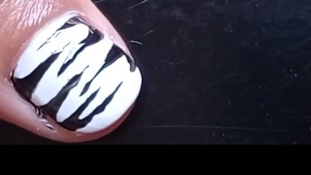 Zebra Design Black And White