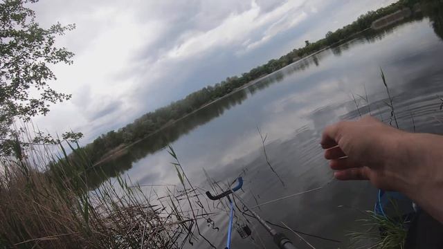 Ловля фидером на реке!!! 10 СЕКРЕТОВ РЫБАЛКИ на ФИДЕР и ПОПЛАВОК... Рыбалка для начинающих смотреть онлайн