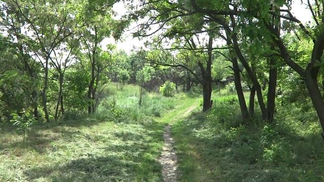 Прогулка к Каховскому водохранилищу 30 05 2015 г Днепрорудный смотреть онлайн