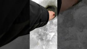 Рыбалка в Цернском