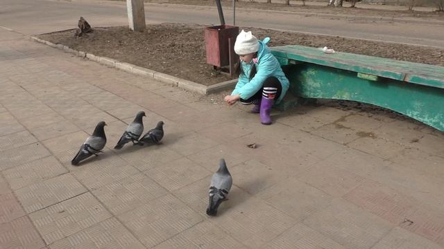 Серые голуби смотреть онлайн