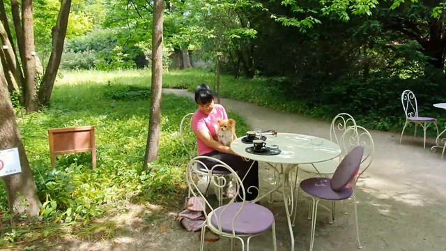 Coffee Shop inside Botanical Garden [Part3] смотреть онлайн