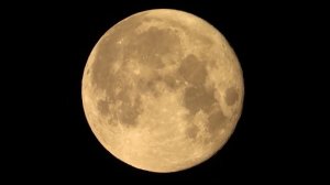 Nikon P1000 | Суперлуние