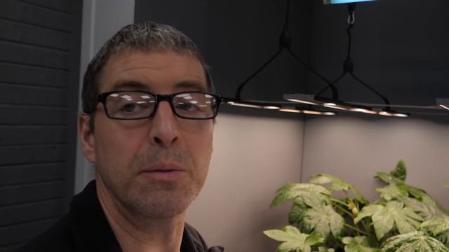How to use UVB with LED grow lights смотреть онлайн