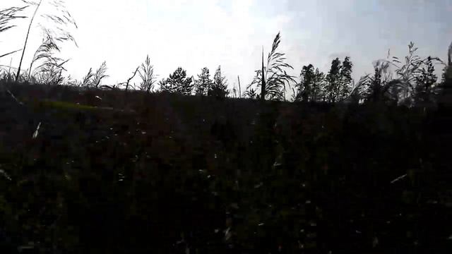 Окрестности озера Волоярви, поворот не туда смотреть онлайн