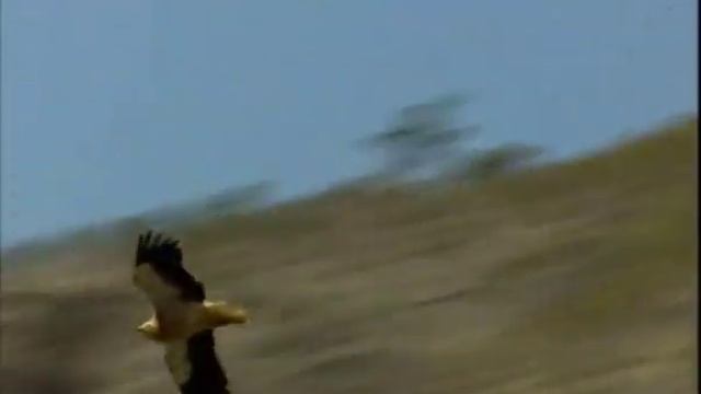 The Dream Land "YEMEN" part 1 смотреть онлайн