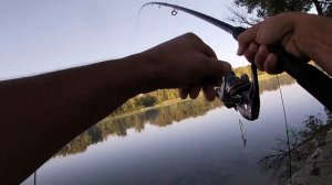 Тарань Пошла!Ловля крупной плотвы на реке!Осенняя рыбалка!Рыбалка на тарань!На что ловить тарань?