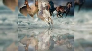 Цыганская песня Птица Ворон Исполняет Петя Коряк г. Сальск