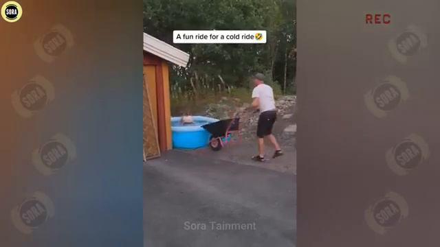 Нелепые случаи из жизни. смотреть онлайн