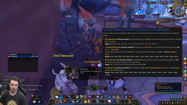 Enhancement Shaman on the Shadowlands Beta // World of Warcraft смотреть онлайн