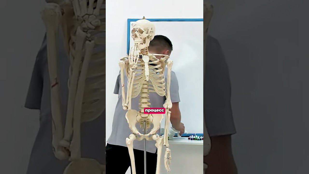 О тейпировании при симфизите. Валентин Гайт❤️ Срок ношения ротационных аппликаций: до 24 часов. смотреть онлайн