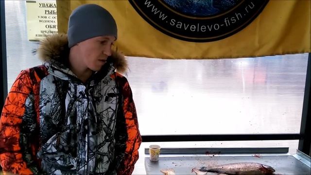 Рыбалка в Подмосковье! Шикарный клёв! 08.05.17 смотреть онлайн