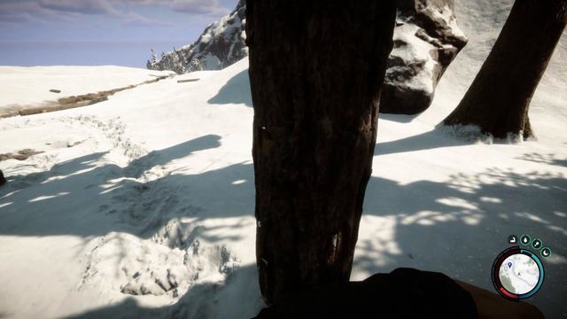 Sons Of The Forest: ¿Logrará una PC de gama baja sobrevivir a la partida? смотреть онлайн