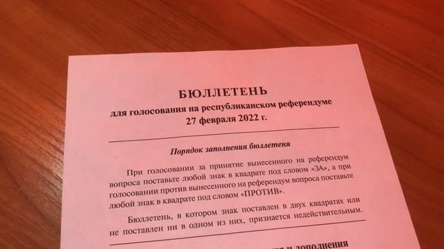 Референдум - близко-близко! Проголосовала ЗА изменения в Конституции Беларуси! смотреть онлайн