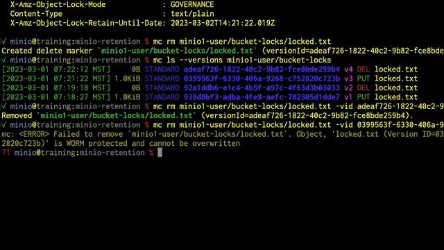 MinIO Object Management: Object Locking and Retention Lab смотреть онлайн