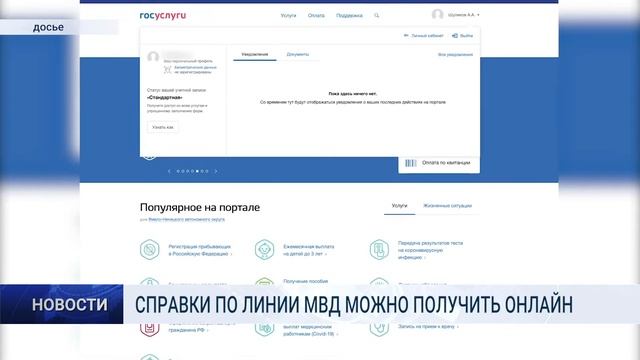 СПРАВКИ ПО ЛИНИИ МВД МОЖНО ПОЛУЧИТЬ ОНЛАЙН смотреть онлайн