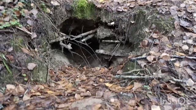 БЕСКОНЕЧНЫЙ НЕМЕЦКИЙ ОКОП В ЛЕСУ смотреть онлайн