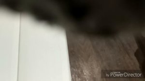 ЭКРАН ПОД ВАННУ ИЗ ПВХ ПЛАСТИКОВЫХ ПАНЕЛЕЙ. ПРОСТОЙ СПОСОБ СВОИМИ РУКАМИ.