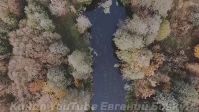 Реакция мозга быстрее мысли. Рассказывает автор : Евгений Бовкун. Почему я сделал такой вывод. смотреть онлайн