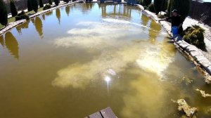 Как очистить свой пруд и убрать зеленую воду. Пруд своими руками. Известкование пруда. Пруд на даче