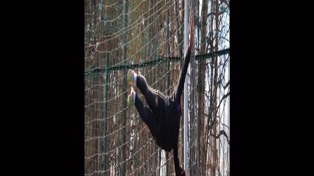 футбольная жизнь