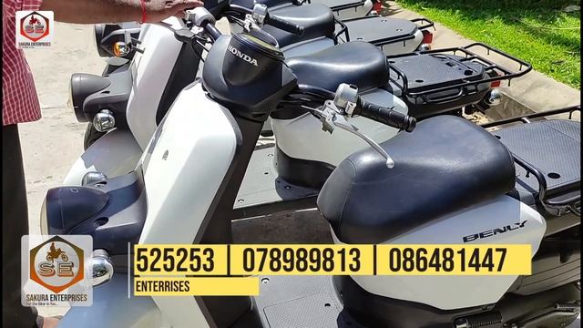Honda Benly 50 and 110 | Sakura Enterprises @cambodia. смотреть онлайн