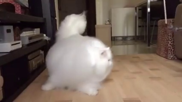 Пушистое облако смотреть онлайн