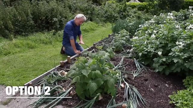 Два способа борьбы с сорняками по методу «Без копания»