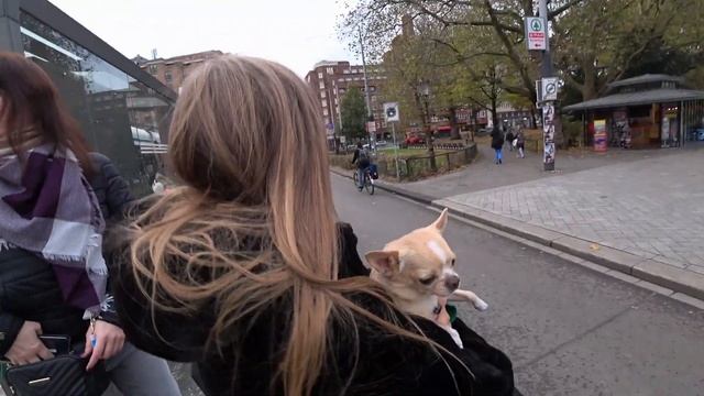 АМСТЕРДАМ смотреть онлайн