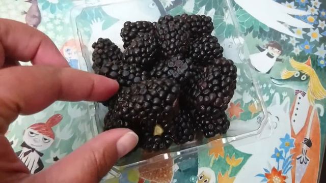 Крупная Ежевика смотреть онлайн