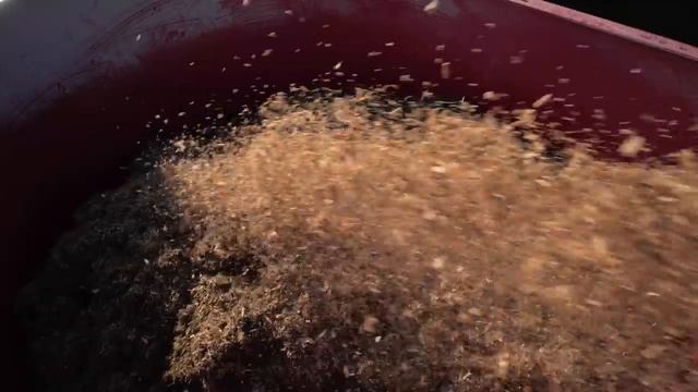 Strautmann Sherpa Mit Entnahmefräse