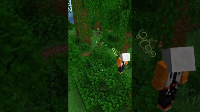 Лучший биом для игры в майнкрафте смотреть онлайн