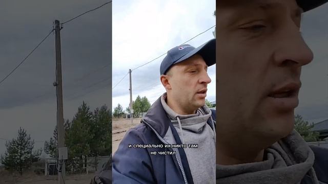 Высолы на кирпичной кладке - хана стене ? смотреть онлайн