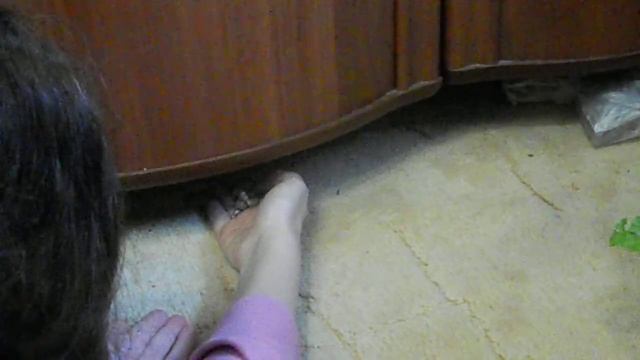 Приручение строптивого))) смотреть онлайн