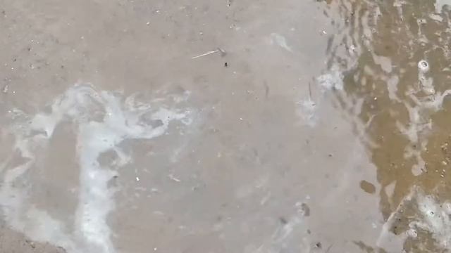 Садовые Дорожки Своими Руками С Малыми Затратами На Даче смотреть онлайн