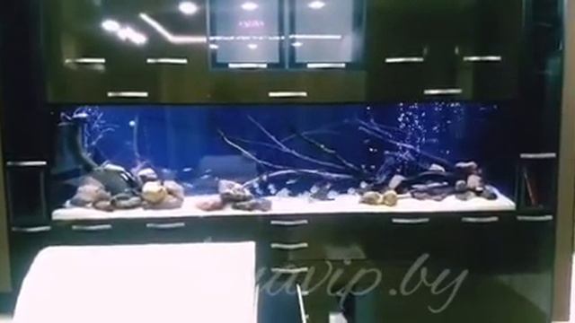 Аквариум Хардскейп. Рыбки. смотреть онлайн