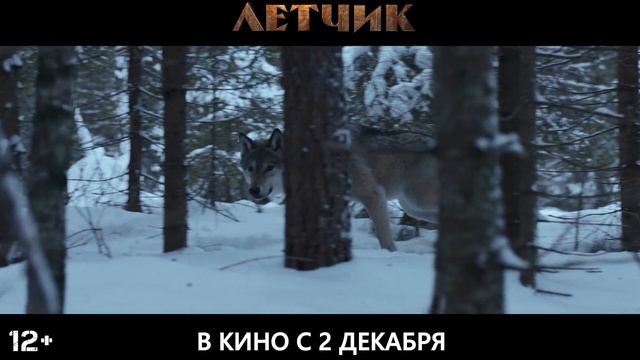 ЧТО ПОСМОТРЕТЬ?