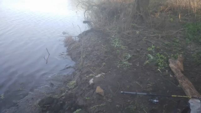 Хотел половить голавля, а попал на бешеный жор окуня!!! смотреть онлайн