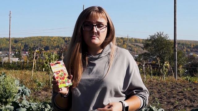 Подзимний посев семян. Подзимний посев многолетников, овощей, пряностей. Что посадить под зиму. смотреть онлайн