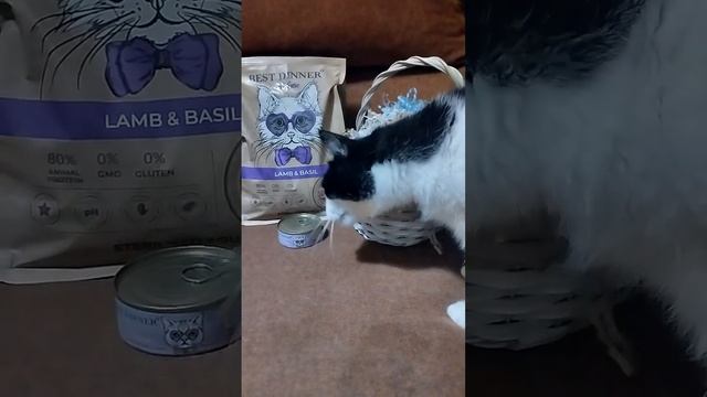 Пришла посылочка с кормами Best Dinner смотреть онлайн
