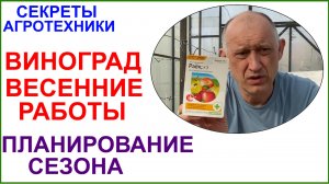 Весенние работы в виноградной теплице. Планирование сезона.