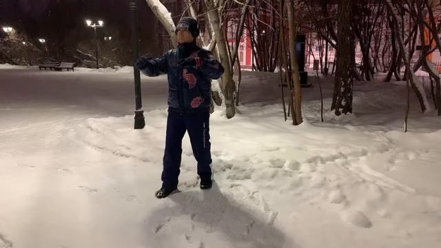 Ицюань / Yiquan 30/30 #19 Фубао Чжуан / Пинбао Чжуан / Цепи Шили-2 (54 день) смотреть онлайн