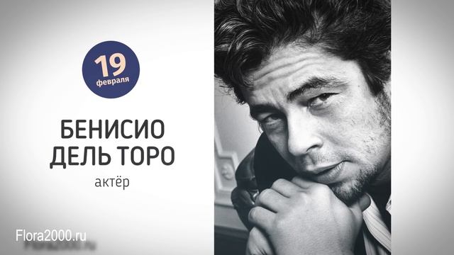 Знаменитости, рожденные в феврале. Дни рождения звезд в феврале Стив Джобс, Рианна, Робби Уильямс смотреть онлайн